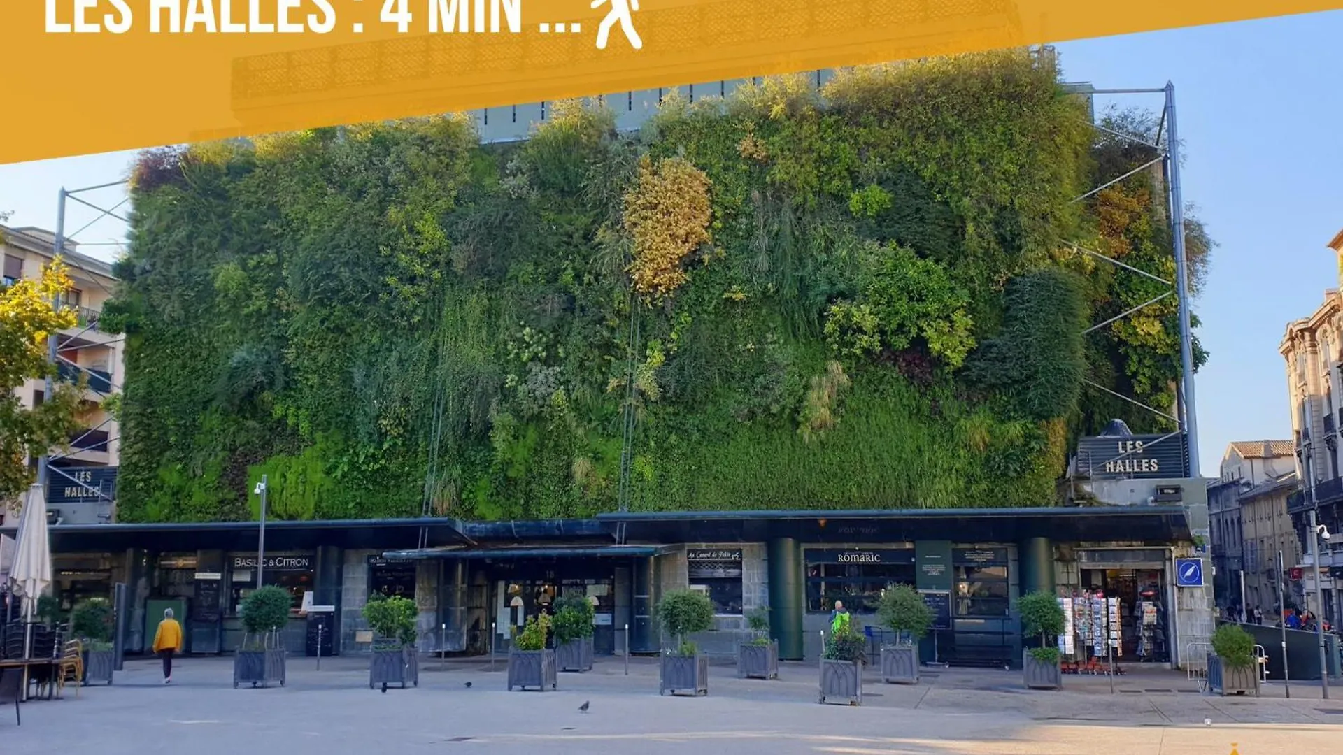 Apartment Cosy Green - Wifi Hd - Netflix - Centre Historique Avignon